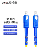SC 接口单模光纤跳线 