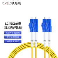 LC 接口单模双芯光纤跳线 