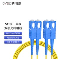 SC 接口单模双芯光纤跳线 