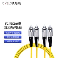 FC接口单模双芯光纤跳线 