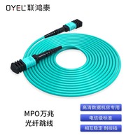 MPO 多模万兆光纤跳线