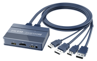 DP KVM Switch 